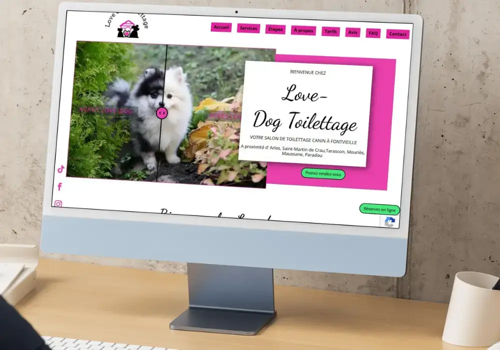 Mockup de la page d'accueil de Lovedog-toilettage